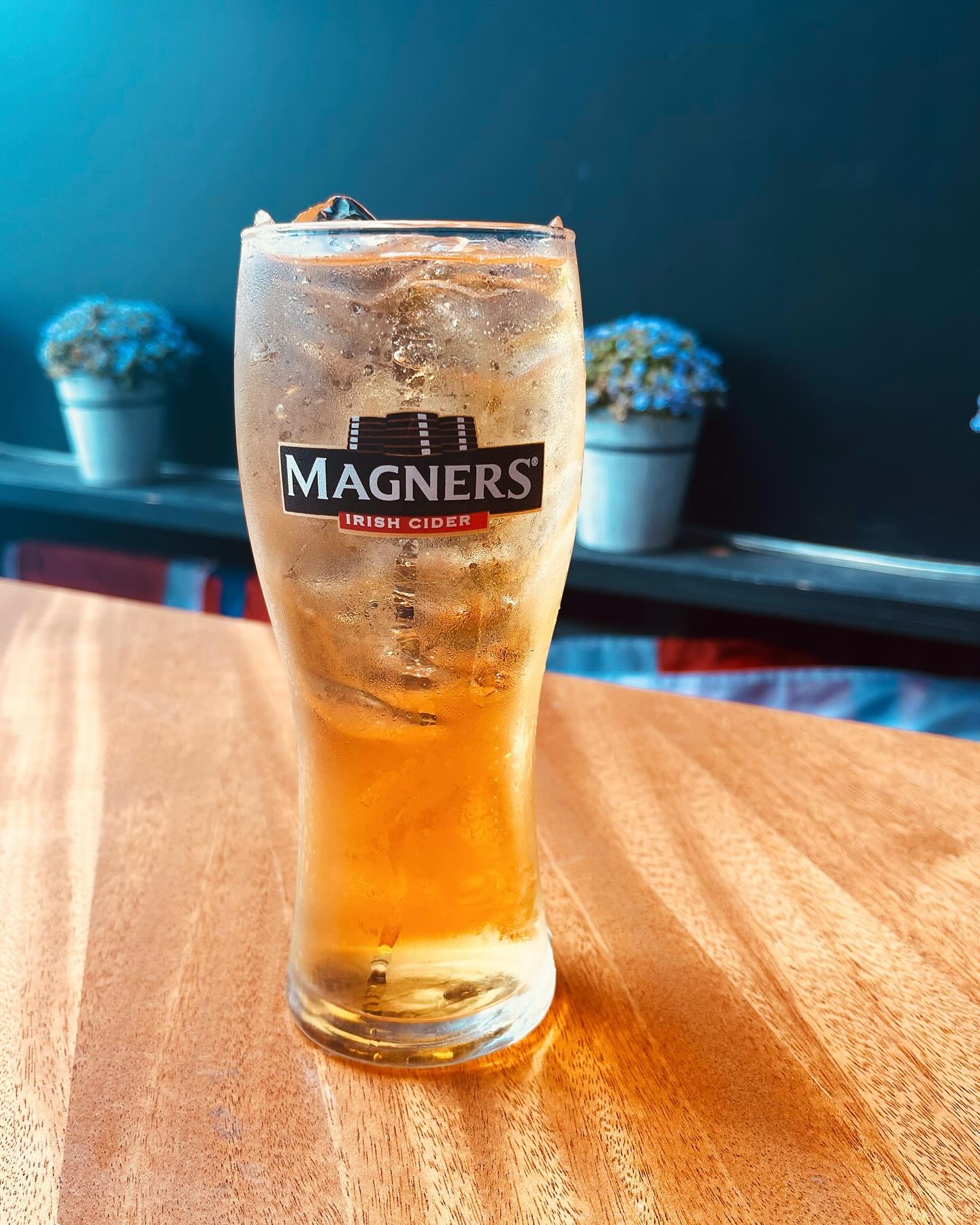 A glass of Magners over ice on a wooden table, planters on the sill behind